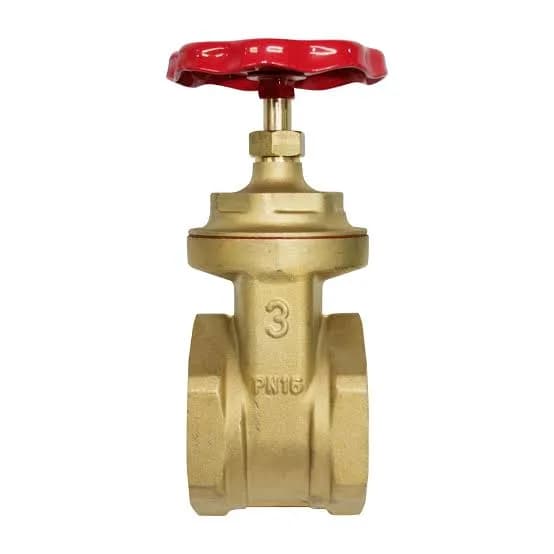 VALVULA COMPUERTA ITALIA 3" 225PSI
