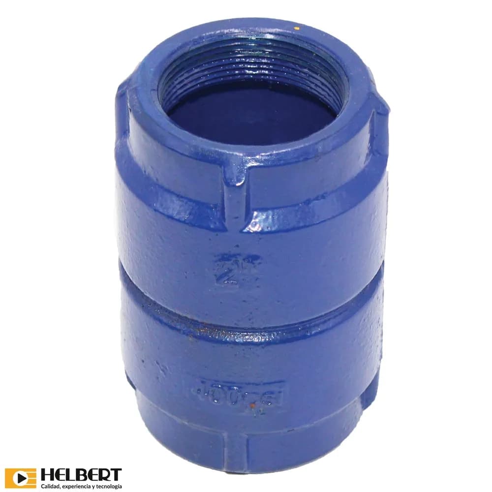 VALVULA CHEQUE VERTICAL HELBERT 2" HD 243388