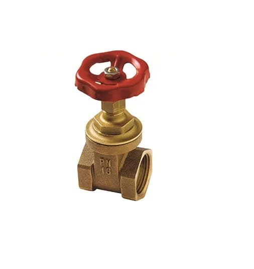 VALVULA COMPUERTA ITALIA 1" 225PSI